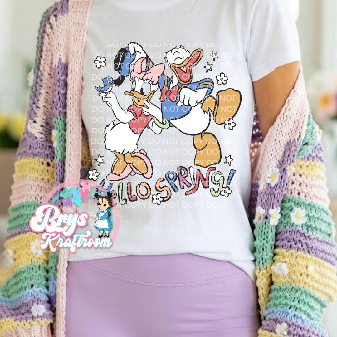 Hello Spring | Ducks