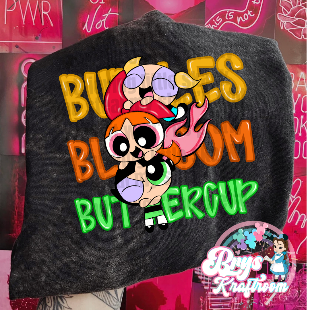 PPG BBB