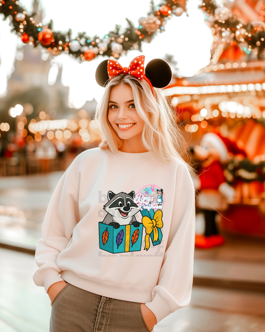 Regalo Racoon | Pocahontas