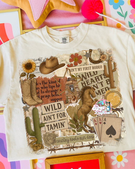 Wild - Horse- Taming- Rodeo